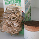 Back to the Roots Organic Mushroom Farm Grow Kit | $13 | Amazon